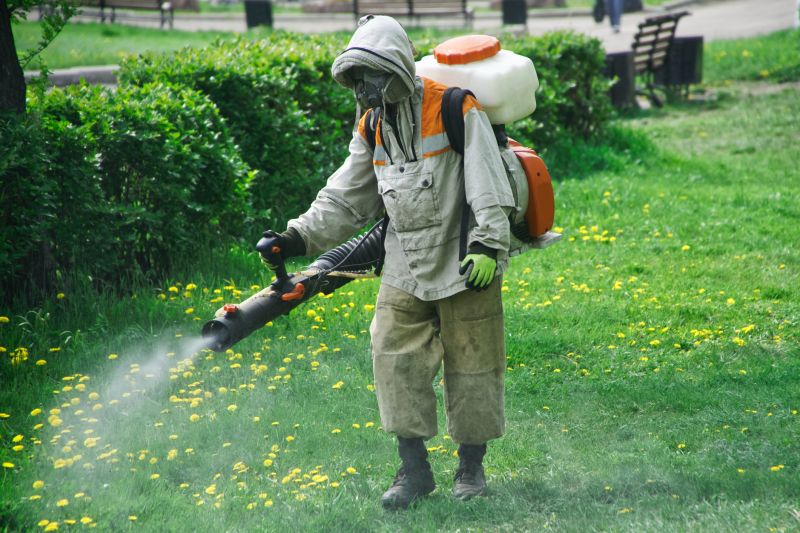Insect Control Service