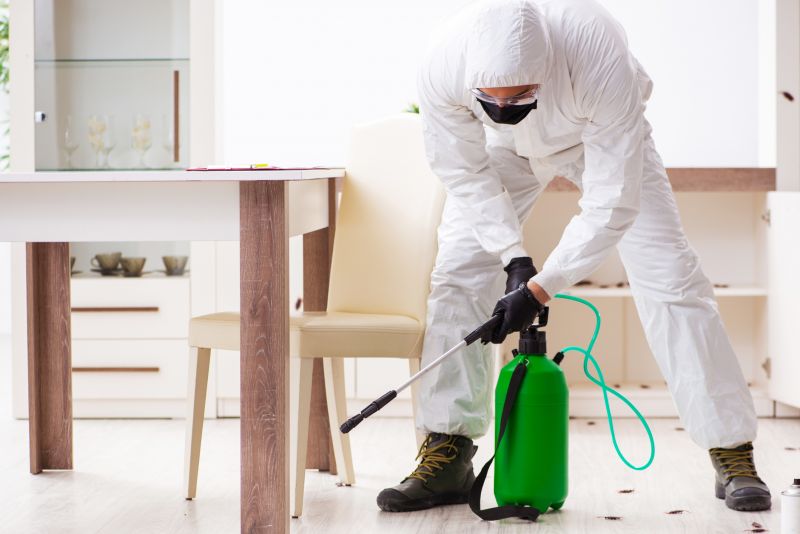 Pest Management Service